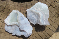 Natural Etched Blue Chalcedony Specimens x 12 From Nsanje, Malawi