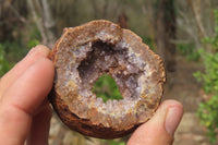 Natural Zululand Amethyst Geodes x 12 from Jozini, South Africa