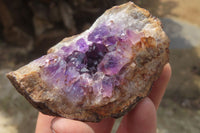 Natural Zululand Amethyst Geodes x 12 from Jozini, South Africa