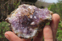 Natural Zululand Amethyst Geodes x 12 from Jozini, South Africa