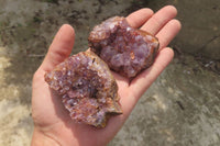 Natural Zululand Amethyst Geodes x 12 from Jozini, South Africa