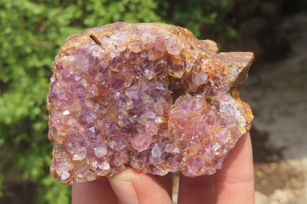 Natural Zululand Amethyst Geodes x 12 from Jozini, South Africa