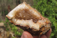 Natural Zululand Amethyst Geodes x 12 from Jozini, South Africa