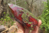 Natural Bastite Dragon Bloodstone Points x 2 From South Africa