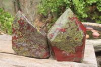 Natural Bastite Dragon Bloodstone Points x 2 From South Africa