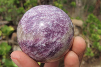 Polished Lepidolite with Pink Rubellite Spheres x 4 From Ambatondrazaka, Madagascar