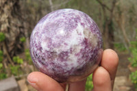 Polished Lepidolite with Pink Rubellite Spheres x 4 From Ambatondrazaka, Madagascar