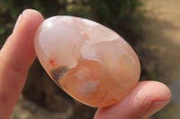 Polished Flower Agate Palm Stones x 24 From Madagascar