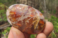 Polished Flower Agate Palm Stones x 24 From Madagascar