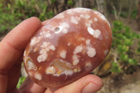 Polished Flower Agate Palm Stones x 24 From Madagascar