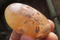 Polished Flower Agate Palm Stones x 24 From Madagascar