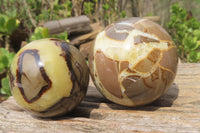 Polished Septerye Spheres x 6 From Mahajanga, Madagascar