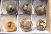 Polished Septerye Spheres x 6 From Mahajanga, Madagascar