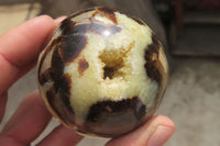 Polished Septerye Spheres x 6 From Mahajanga, Madagascar