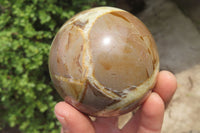 Polished Septerye Spheres x 6 From Mahajanga, Madagascar