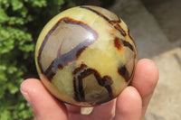 Polished Septerye Spheres x 6 From Mahajanga, Madagascar