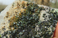 Natural Libethenite Crystals On Dolomite Matrix Specimens x 12 From Shituru, Congo