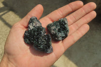 Natural Libethenite Crystals On Dolomite Matrix Specimens x 12 From Shituru, Congo