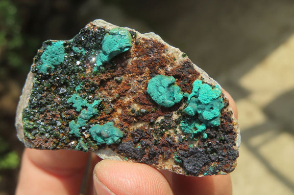 Natural Libethenite Crystals On Dolomite Matrix Specimens x 12 From Shituru, Congo