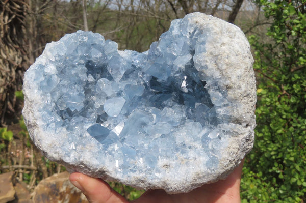 Natural Blue Celestite Geode Specimen x 1 From Sakoany, Madagascar