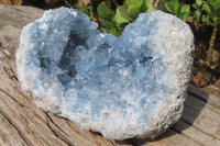 Natural Blue Celestite Geode Specimen x 1 From Sakoany, Madagascar