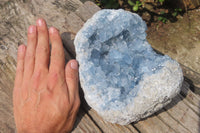 Natural Blue Celestite Geode Specimen x 1 From Sakoany, Madagascar