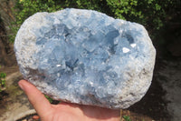 Natural Blue Celestite Geode Specimen x 1 From Sakoany, Madagascar