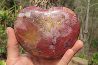 Polished Red Podocarpus Petrified Wood Hearts x 2 From Madagascar