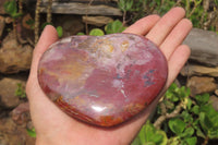 Polished Red Podocarpus Petrified Wood Hearts x 2 From Madagascar