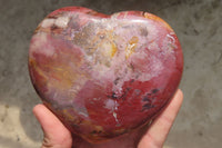 Polished Red Podocarpus Petrified Wood Hearts x 2 From Madagascar