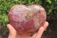 Polished Red Podocarpus Petrified Wood Hearts x 2 From Madagascar