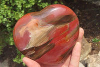 Polished Red Podocarpus Petrified Wood Hearts x 2 From Madagascar