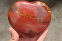 Polished Red Podocarpus Petrified Wood Hearts x 2 From Madagascar