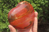 Polished Red Podocarpus Petrified Wood Hearts x 2 From Madagascar