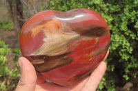 Polished Red Podocarpus Petrified Wood Hearts x 2 From Madagascar