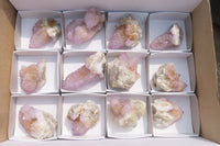 Natural Ametrine Spirit Quartz Clusters x 12 From Boekenhouthoek, South Africa