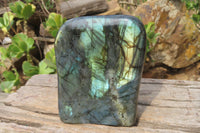 Polished Labradorite Standing Free Form x 1 From Tulear, Madagascar