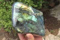 Polished Labradorite Standing Free Form x 1 From Tulear, Madagascar