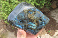 Polished Labradorite Standing Free Form x 1 From Tulear, Madagascar