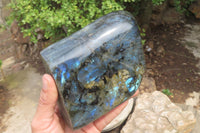 Polished Labradorite Standing Free Form x 1 From Tulear, Madagascar