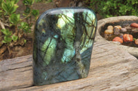 Polished Labradorite Standing Free Form x 1 From Tulear, Madagascar