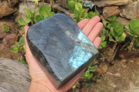 Polished Labradorite Standing Free Form x 1 From Tulear, Madagascar