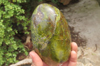 Polished Green Opal Standing Free Forms x 2 From Antsirabe, Madagascar