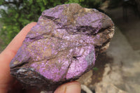 Natural Metallic Purpurite Cobbed Specimens x 6 From Erongo, Namibia