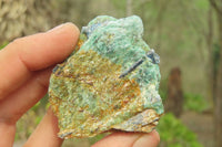 Natural Kyanite In Fuchsite Matrix Specimens x 35 From Zimbabwe