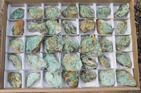 Natural Kyanite In Fuchsite Matrix Specimens x 35 From Zimbabwe