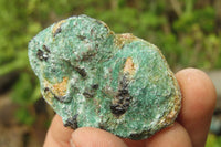 Natural Kyanite In Fuchsite Matrix Specimens x 35 From Zimbabwe