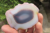 Polished On One Side Red Sashe River Agate Nodules x 12 From Zimbabwe