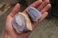 Polished On One Side Red Sashe River Agate Nodules x 12 From Zimbabwe