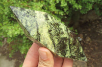 Polished Double Terminated Leopard Stone Points x 3 From Zimbabwe